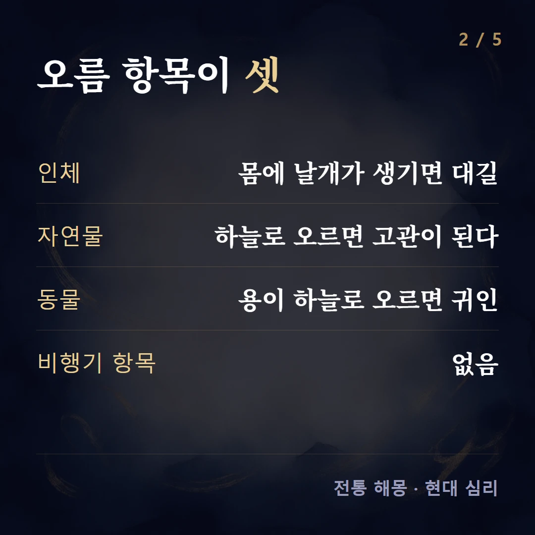 오름 항목이 셋 — 인체 몸에 날개가 생기면 대길, 자연물 하늘로 오르면 고관이 된다, 동물 용이 하늘로 오르면 귀인, 비행기 항목 없음