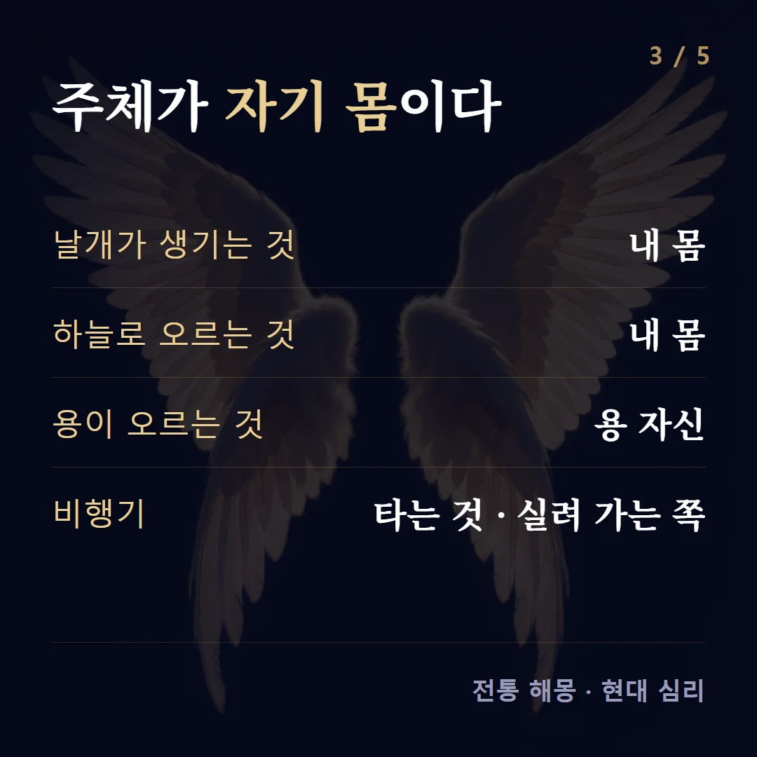 주체가 자기 몸이다 — 날개가 생기는 것 내 몸, 하늘로 오르는 것 내 몸, 용이 오르는 것 용 자신, 비행기 타는 것 · 실려 가는 쪽