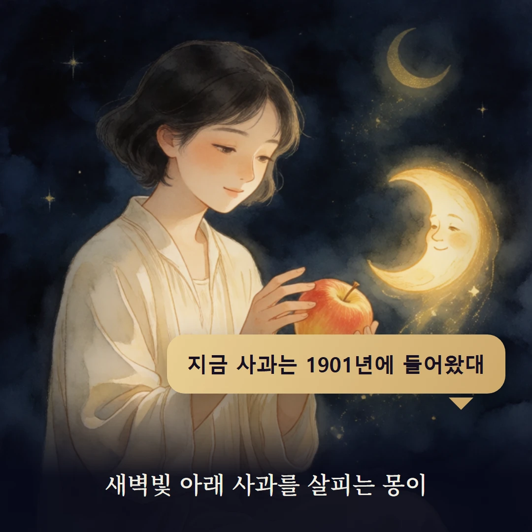이야기 4컷 — 새벽빛 아래 사과를 살피는 몽이