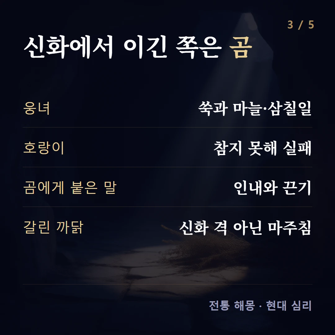 신화에서 이긴 쪽은 곰 — 웅녀 쑥과 마늘·삼칠일, 호랑이 참지 못해 실패, 곰에게 붙은 말 인내와 끈기, 갈린 까닭 신화 격 아닌 마주침