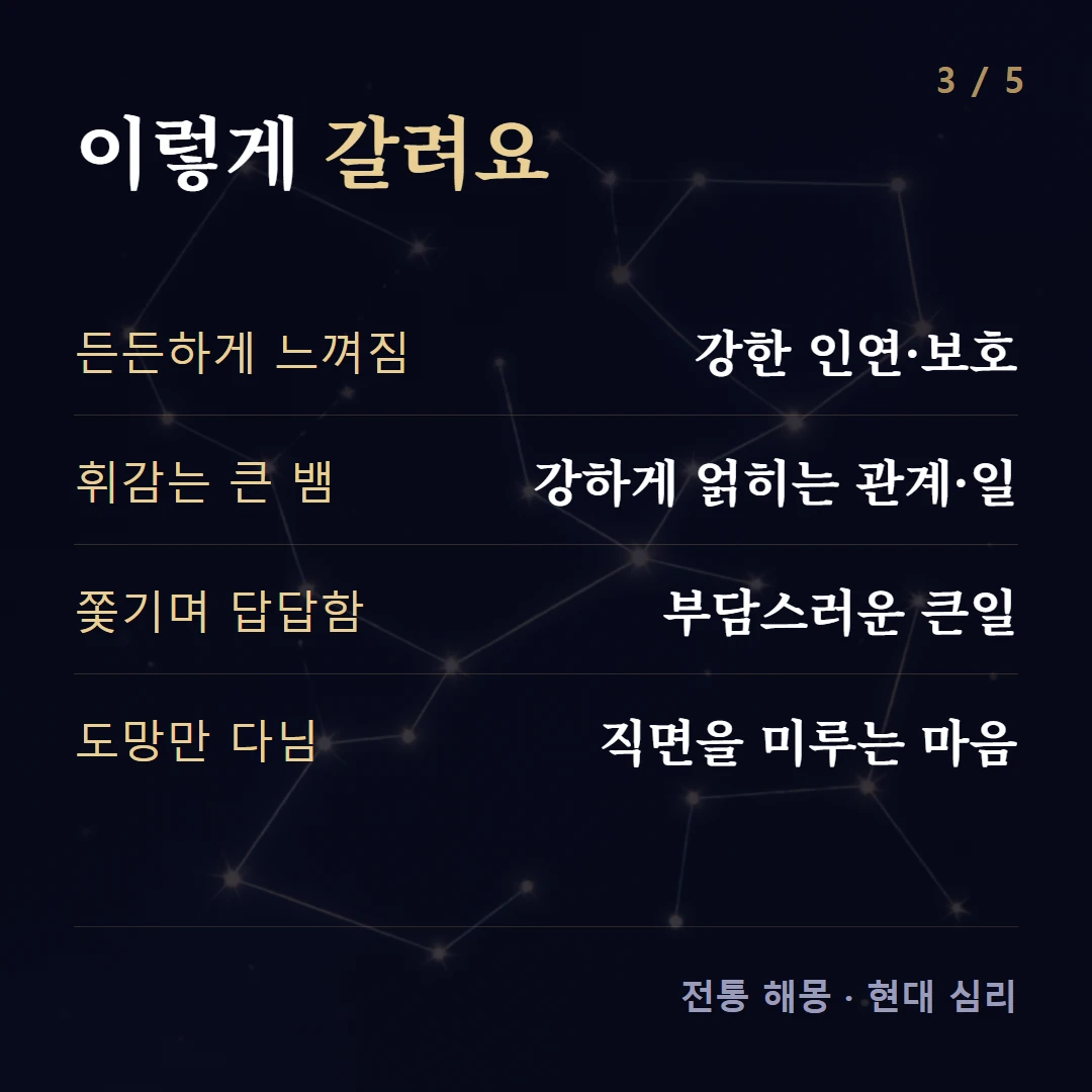 이렇게 갈려요 — 든든하게 느껴짐 강한 인연·보호, 휘감는 큰 뱀 강하게 얽히는 관계·일, 쫓기며 답답함 부담스러운 큰일, 도망만 다님 직면을 미루는 마음