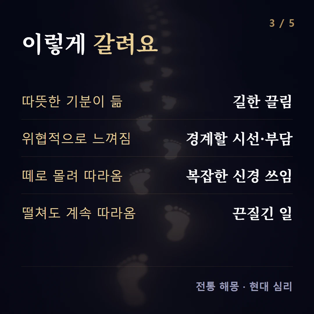 이렇게 갈려요 — 따뜻한 기분이 듦 길한 끌림, 위협적으로 느껴짐 경계할 시선·부담, 떼로 몰려 따라옴 복잡한 신경 쓰임, 떨쳐도 계속 따라옴 끈질긴 일