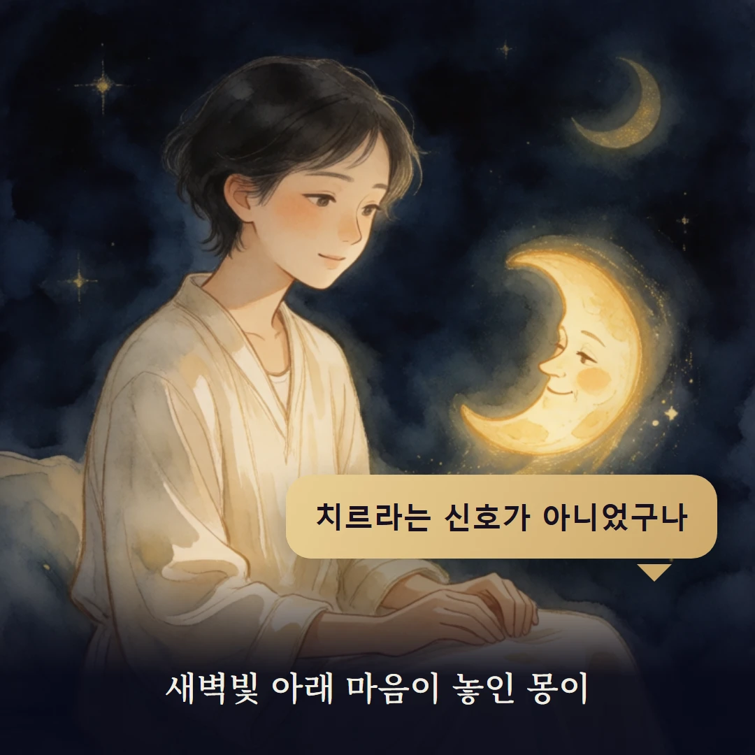 이야기 4컷 — 새벽빛 아래 마음이 놓인 몽이