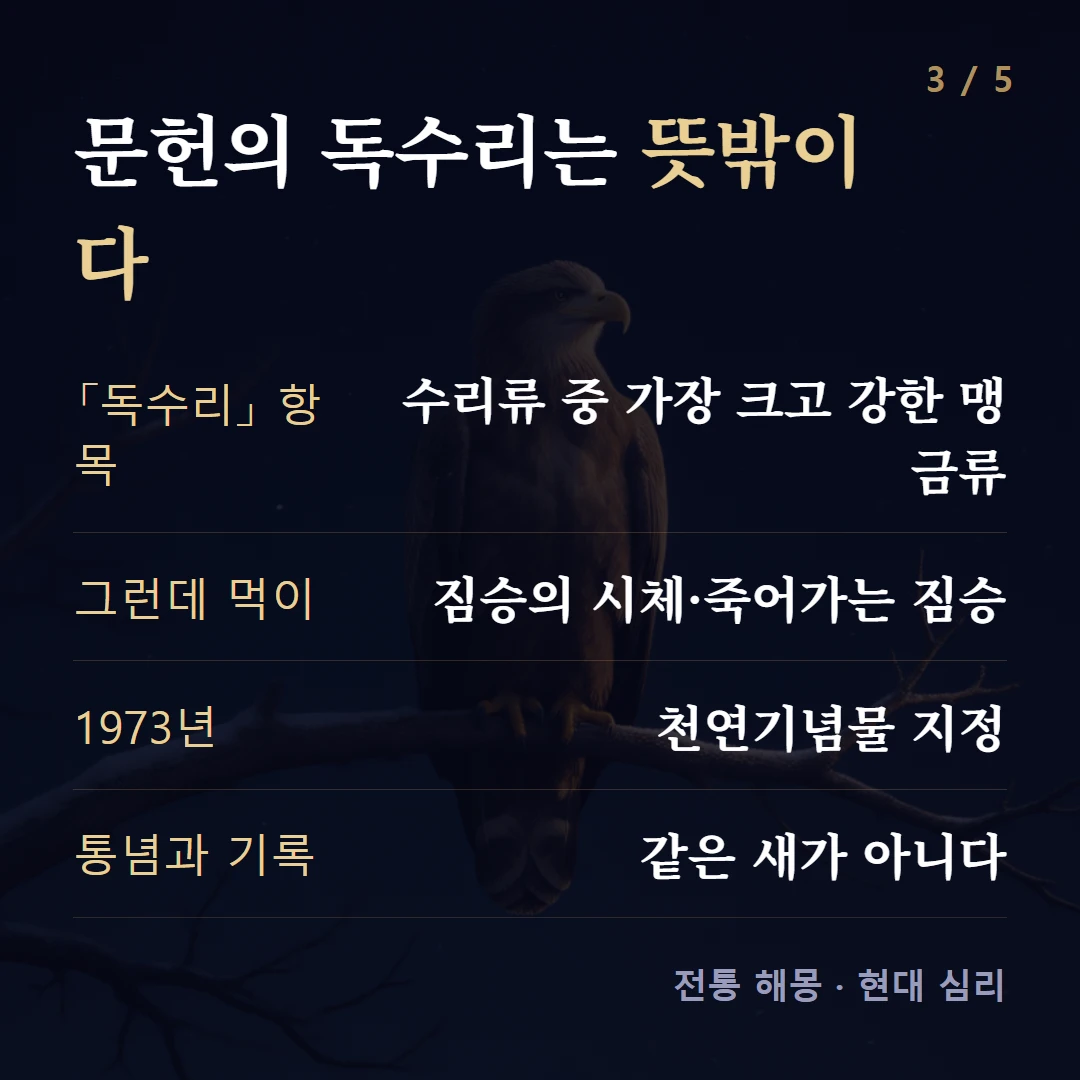 문헌의 독수리는 뜻밖이다 — 「독수리」 항목 수리류 중 가장 크고 강한 맹금류, 그런데 먹이 짐승의 시체·죽어가는 짐승, 1973년 천연기념물 지정, 통념과 기록 같은 새가 아니다