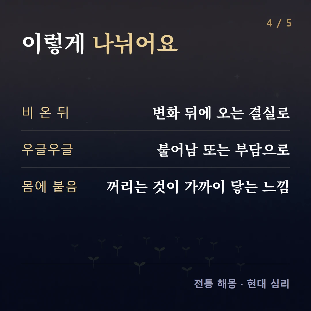 이렇게 나뉘어요 — 비 온 뒤 변화 뒤에 오는 결실로, 우글우글 불어남 또는 부담으로, 몸에 붙음 꺼리는 것이 가까이 닿는 느낌