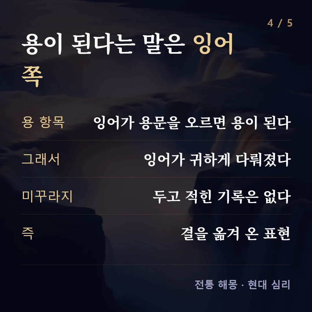 용이 된다는 말은 잉어 쪽 — 용 항목 잉어가 용문을 오르면 용이 된다, 그래서 잉어가 귀하게 다뤄졌다, 미꾸라지 두고 적힌 기록은 없다, 즉 결을 옮겨 온 표현
