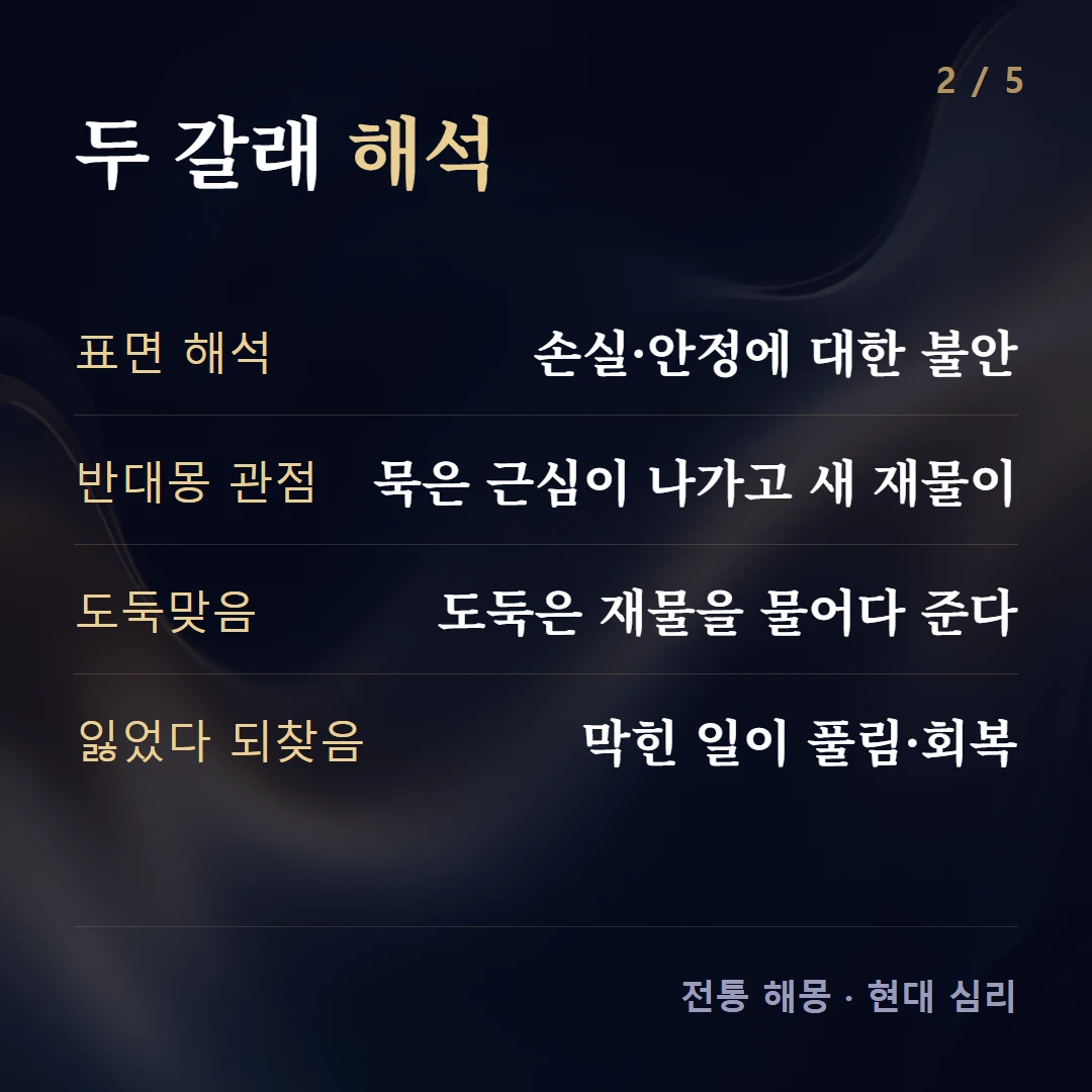 두 갈래 해석 — 표면 해석 손실·안정에 대한 불안, 반대몽 관점 묵은 근심이 나가고 새 재물이, 도둑맞음 도둑은 재물을 물어다 준다, 잃었다 되찾음 막힌 일이 풀림·회복
