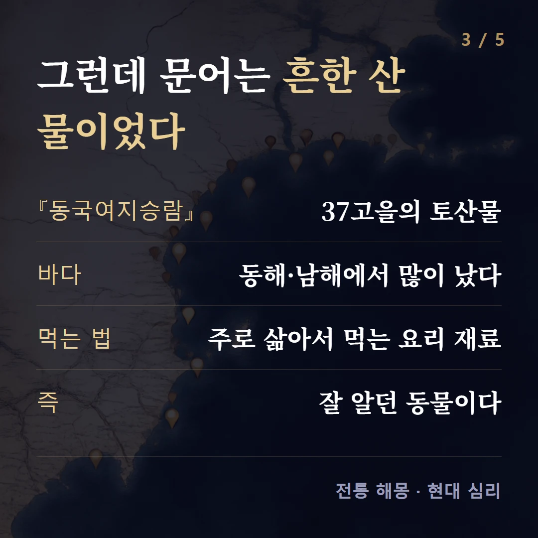 그런데 문어는 흔한 산물이었다 — 『동국여지승람』 37고을의 토산물, 바다 동해·남해에서 많이 났다, 먹는 법 주로 삶아서 먹는 요리 재료, 즉 잘 알던 동물이다