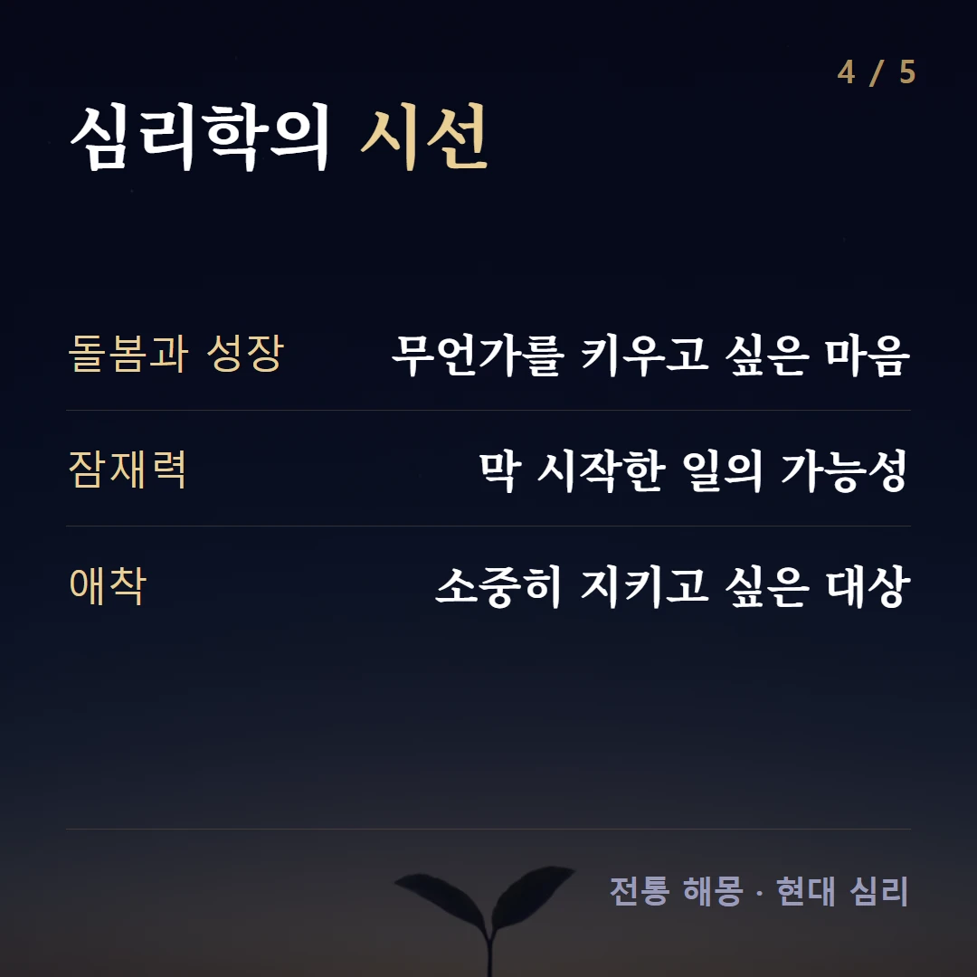 심리학의 시선 — 돌봄과 성장 무언가를 키우고 싶은 마음, 잠재력 막 시작한 일의 가능성, 애착 소중히 지키고 싶은 대상