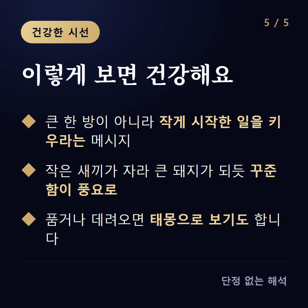 이렇게 보면 건강해요 — 큰 한 방이 아니라 작게 시작한 일을 키우라는 메시지 / 작은 새끼가 자라 큰 돼지가 되듯 꾸준함이 풍요로 / 품거나 데려오면 태몽으로 보기도 합니다