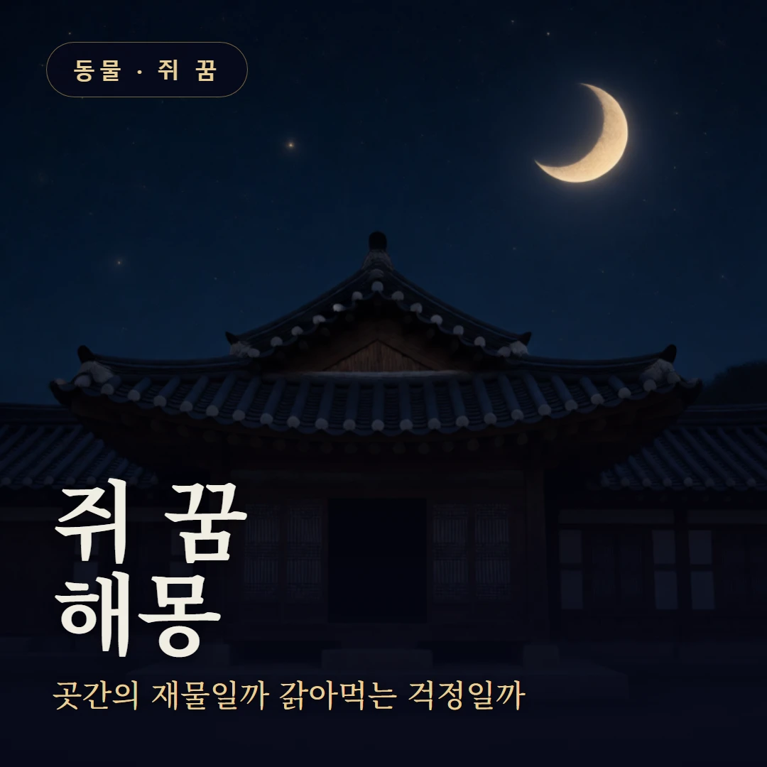 쥐 꿈 요약 표지 — 곳간의 재물일까 갉아먹는 걱정일까