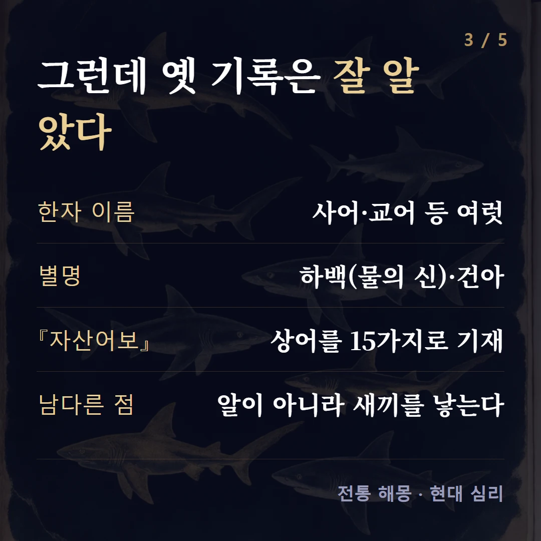 그런데 옛 기록은 잘 알았다 — 한자 이름 사어·교어 등 여럿, 별명 하백(물의 신)·건아, 『자산어보』 상어를 15가지로 기재, 남다른 점 알이 아니라 새끼를 낳는다