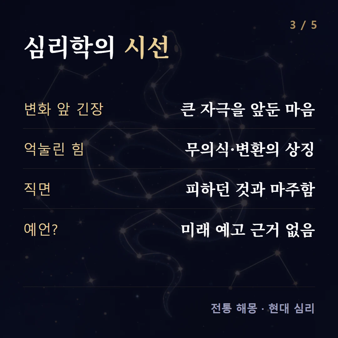 심리학의 시선 — 변화 앞 긴장 큰 자극을 앞둔 마음, 억눌린 힘 무의식·변환의 상징, 직면 피하던 것과 마주함, 예언? 미래 예고 근거 없음