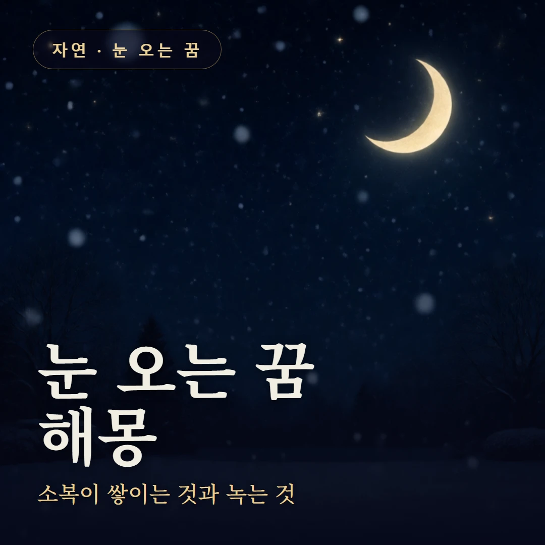눈 오는 꿈 요약 표지 — 소복이 쌓이는 것과 녹는 것
