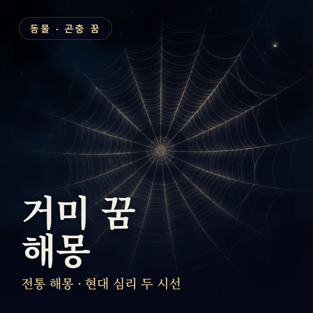 거미 꿈 요약 표지 — 전통 해몽 · 현대 심리 두 시선