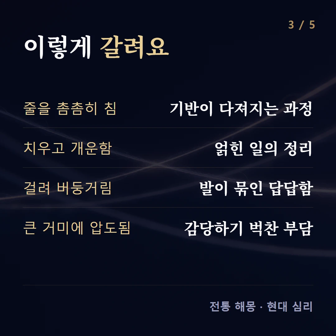 이렇게 갈려요 — 줄을 촘촘히 침 기반이 다져지는 과정, 치우고 개운함 얽힌 일의 정리, 걸려 버둥거림 발이 묶인 답답함, 큰 거미에 압도됨 감당하기 벅찬 부담