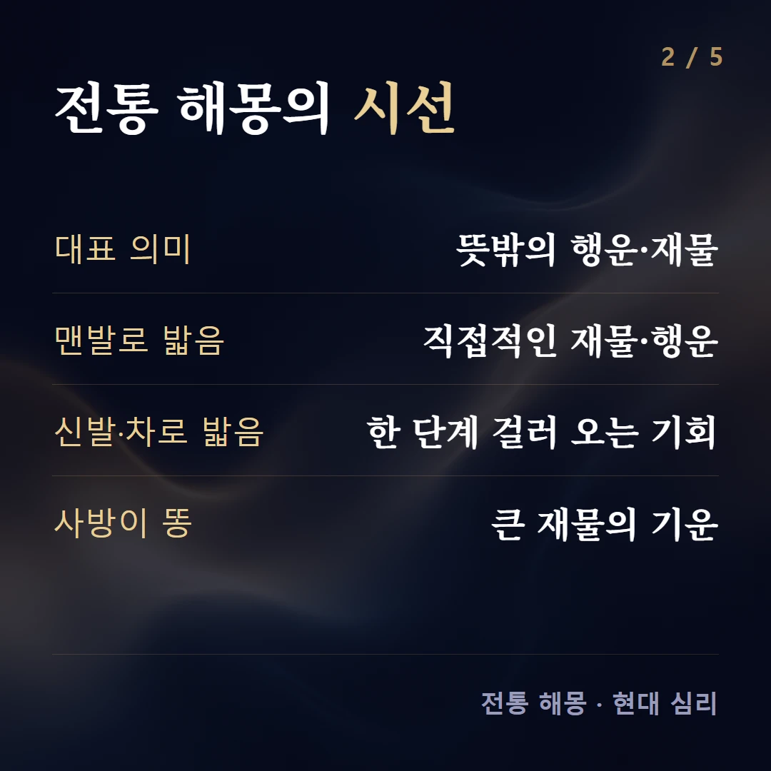전통 해몽의 시선 — 대표 의미 뜻밖의 행운·재물, 맨발로 밟음 직접적인 재물·행운, 신발·차로 밟음 한 단계 걸러 오는 기회, 사방이 똥 큰 재물의 기운