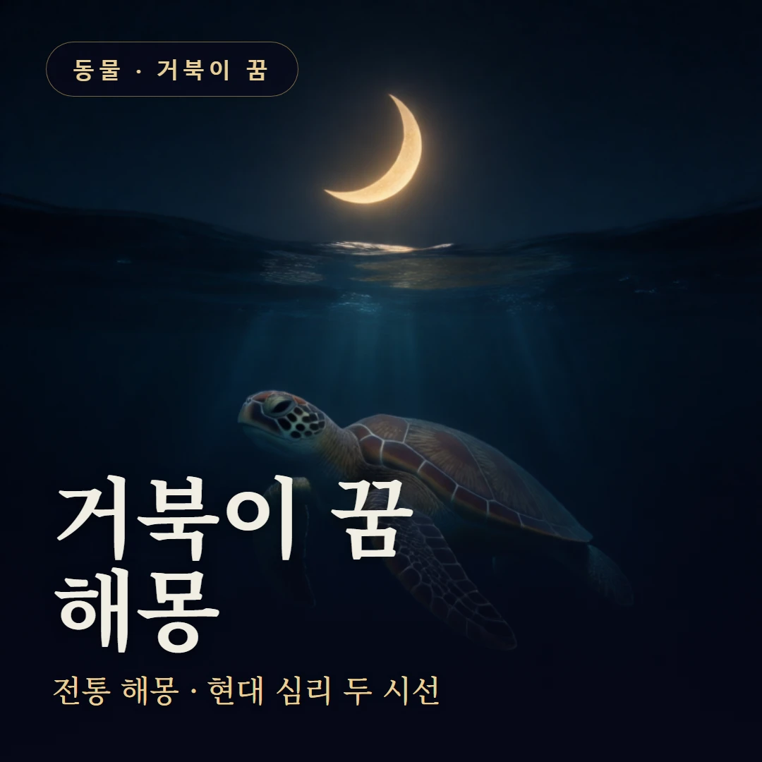 거북이 꿈 요약 표지 — 전통 해몽 · 현대 심리 두 시선