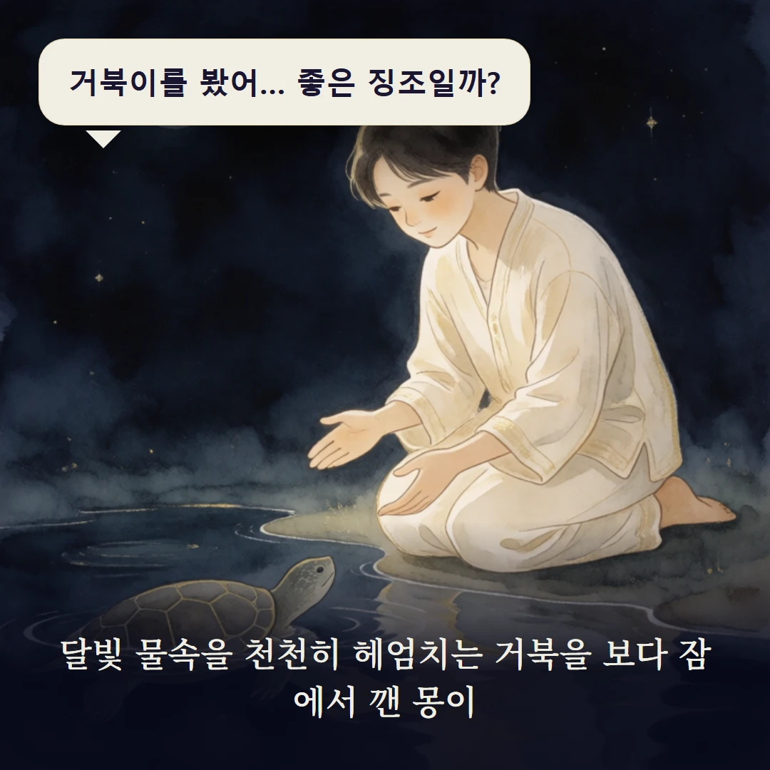 이야기 1컷 — 달빛 물속을 천천히 헤엄치는 거북을 보다 잠에서 깬 몽이