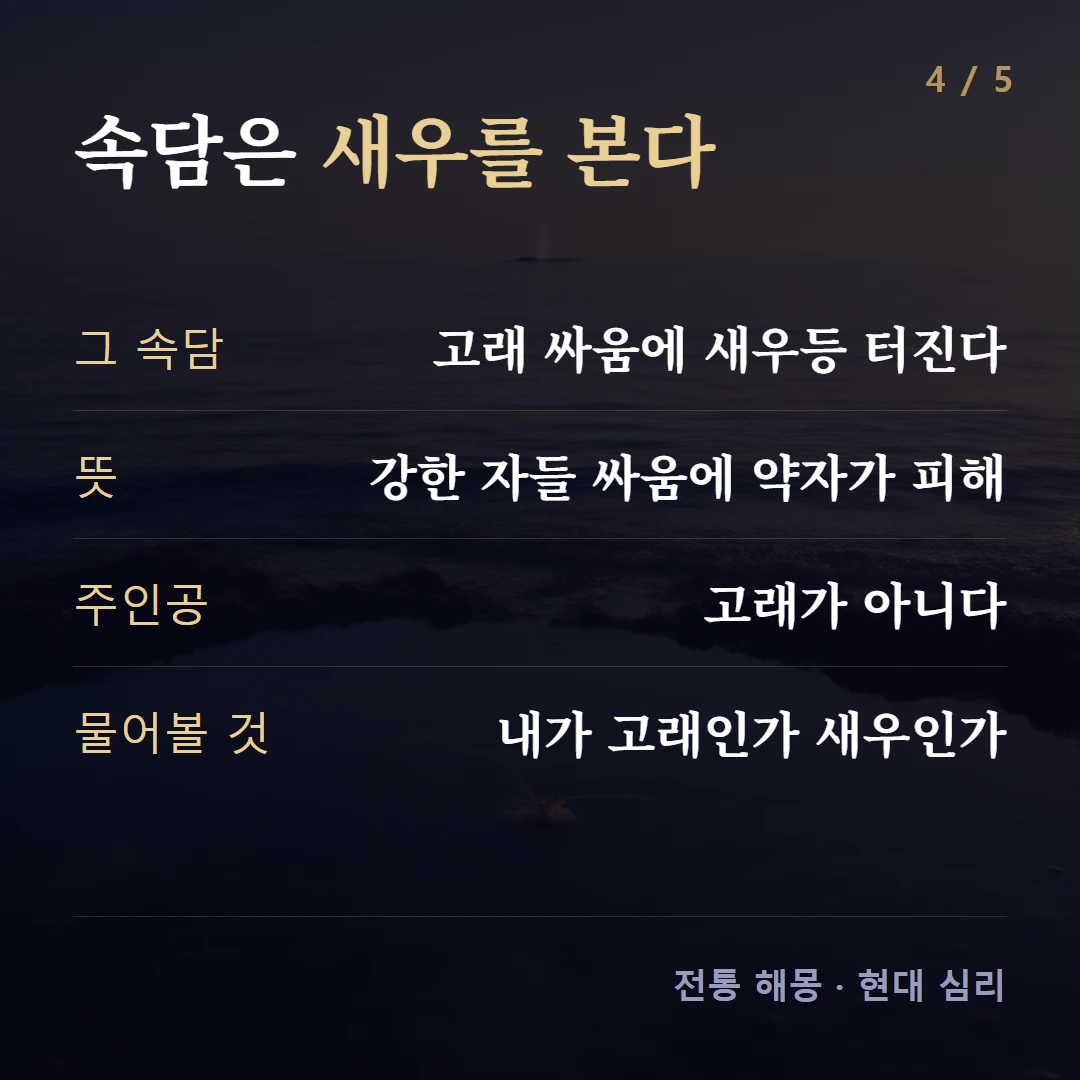 속담은 새우를 본다 — 그 속담 고래 싸움에 새우등 터진다, 뜻 강한 자들 싸움에 약자가 피해, 주인공 고래가 아니다, 물어볼 것 내가 고래인가 새우인가